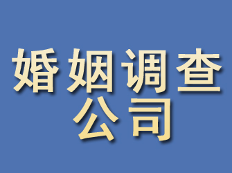 赞皇婚姻调查公司